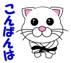 A white cat which do karate sticker #13762592