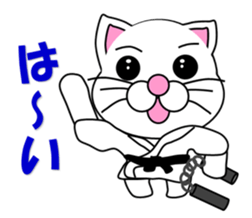 A white cat which do karate sticker #13762595