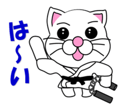 A white cat which do karate sticker #13762595