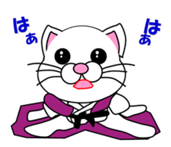 A white cat which do karate sticker #13762610