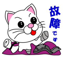 A white cat which do karate sticker #13762612