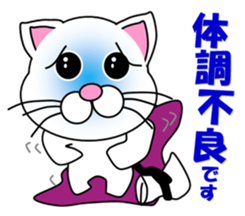 A white cat which do karate sticker #13762613