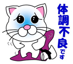 A white cat which do karate sticker #13762613