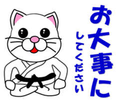 A white cat which do karate sticker #13762614