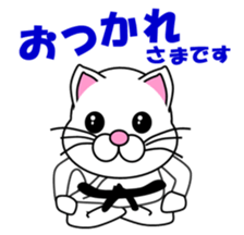 A white cat which do karate sticker #13762615