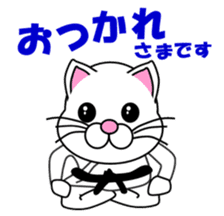 A white cat which do karate sticker #13762615
