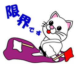 A white cat which do karate sticker #13762622
