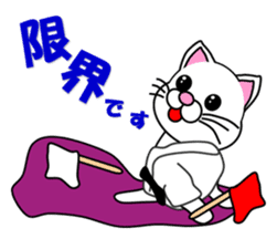 A white cat which do karate sticker #13762622