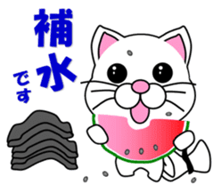 A white cat which do karate sticker #13762623