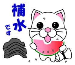 A white cat which do karate sticker #13762624
