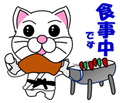 A white cat which do karate sticker #13762625