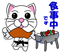 A white cat which do karate sticker #13762625
