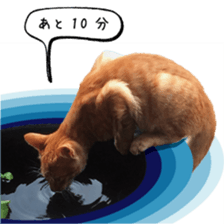 nekoneko-Real sticker #13763224