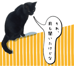 nekoneko-Real sticker #13763229