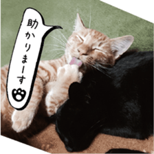 nekoneko-Real sticker #13763230