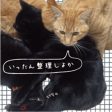 nekoneko-Real sticker #13763232