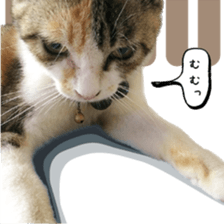 nekoneko-Real sticker #13763234