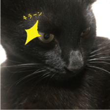 nekoneko-Real sticker #13763238