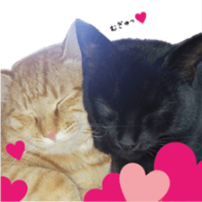 nekoneko-Real sticker #13763239