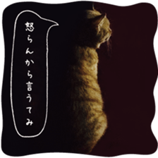 nekoneko-Real sticker #13763243