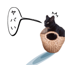 nekoneko-Real sticker #13763244