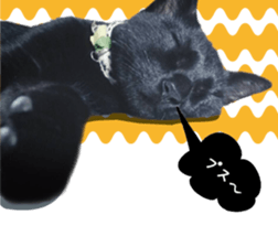 nekoneko-Real sticker #13763245