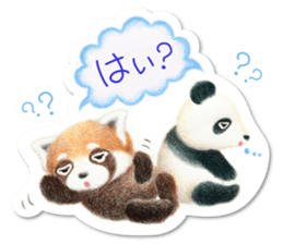 Stickers of a giant panda & Lesser panda sticker #13763550