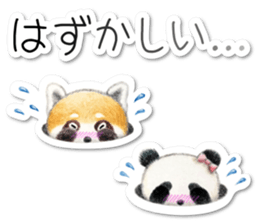 Stickers of a giant panda & Lesser panda sticker #13763562