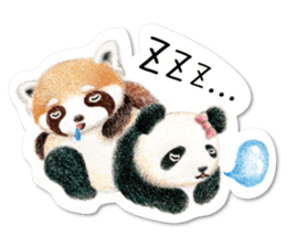 Stickers of a giant panda & Lesser panda sticker #13763577