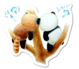 Stickers of a giant panda & Lesser panda sticker #13763580