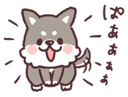 fluffy fat Shiba3 sticker #13765295