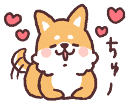 fluffy fat Shiba3 sticker #13765296