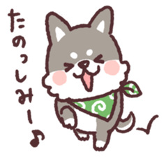 fluffy fat Shiba3 sticker #13765297