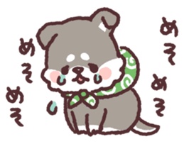 fluffy fat Shiba3 sticker #13765301