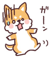 fluffy fat Shiba3 sticker #13765302