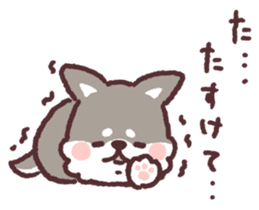 fluffy fat Shiba3 sticker #13765303