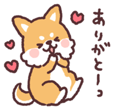 fluffy fat Shiba3 sticker #13765306
