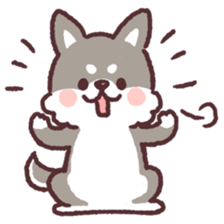 fluffy fat Shiba3 sticker #13765313