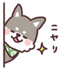 fluffy fat Shiba3 sticker #13765317