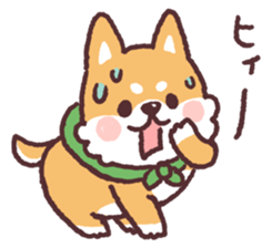 fluffy fat Shiba3 sticker #13765322