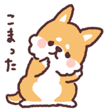 fluffy fat Shiba3 sticker #13765328