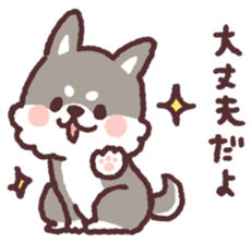 fluffy fat Shiba3 sticker #13765329