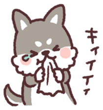 fluffy fat Shiba3 sticker #13765331