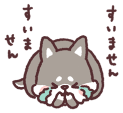 fluffy fat Shiba3 sticker #13765333