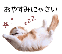 Qoo-chan1 sticker #13765543