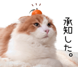 Qoo-chan1 sticker #13765544