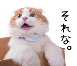 Qoo-chan1 sticker #13765545