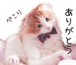 Qoo-chan1 sticker #13765546