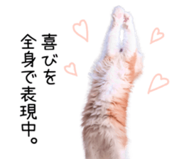 Qoo-chan1 sticker #13765547