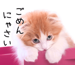 Qoo-chan1 sticker #13765548